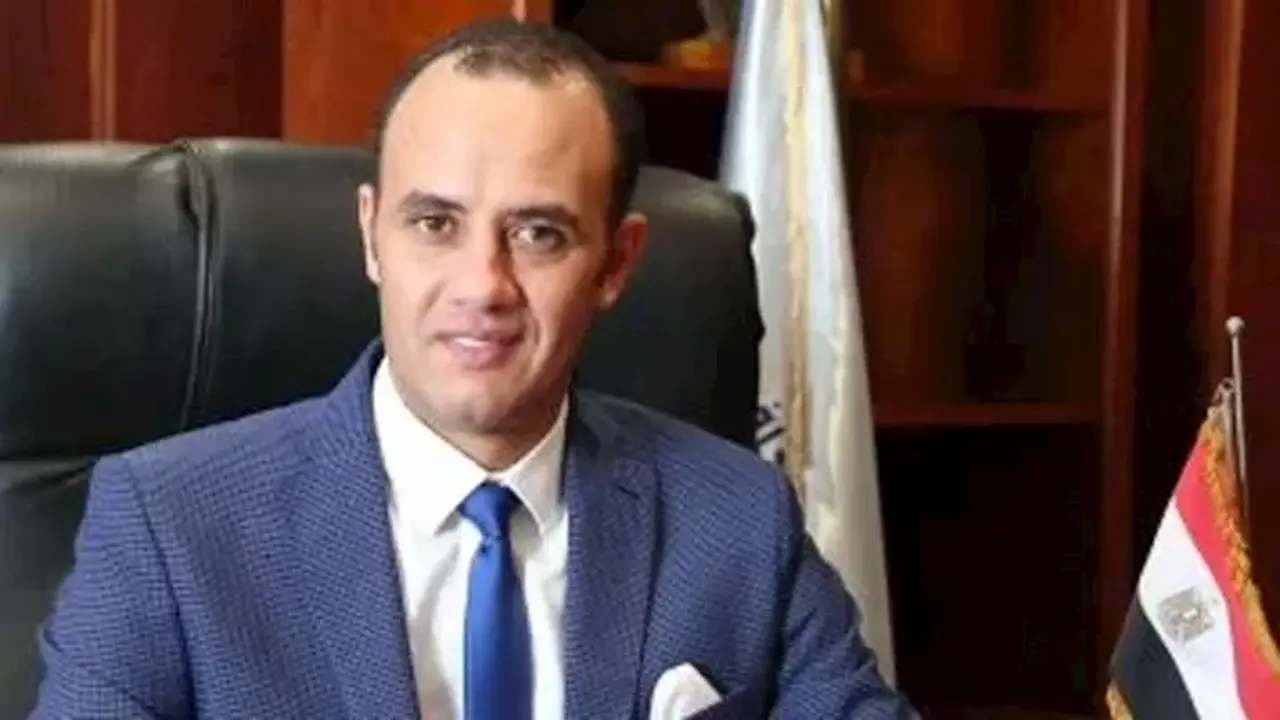 شعبة الدواجن تكشف: 45 تاجرًا يتلاعبون بسوق الدواجن بفجوة سعرية ملحوظة